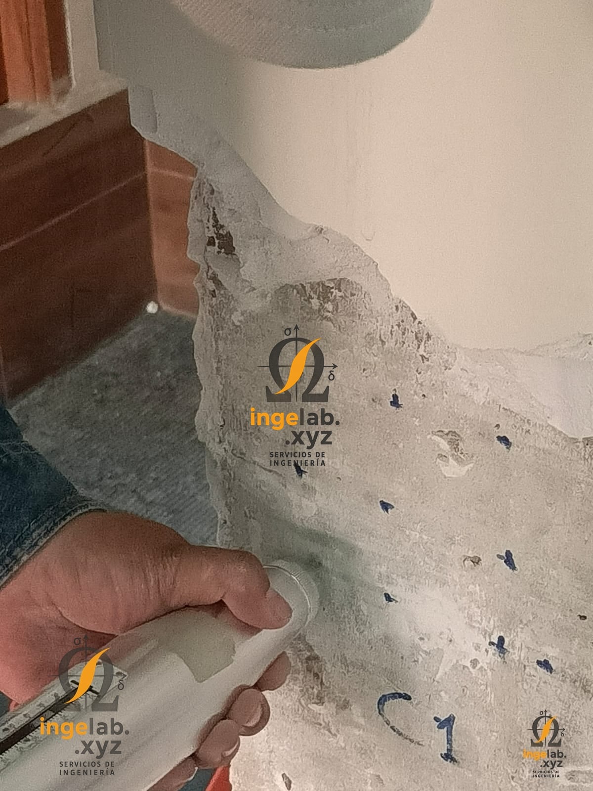 Patología del Hormigón - Imagen 7